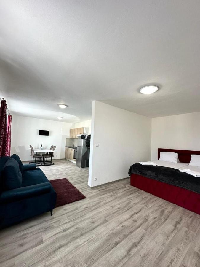 Sky 501 Apartament Pilzno